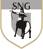 SNG SECURITIES AND PLACEMENT